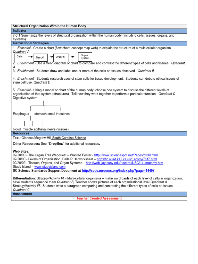 Levels of Organization PDF Gastrointestinal Tract Human Digestive