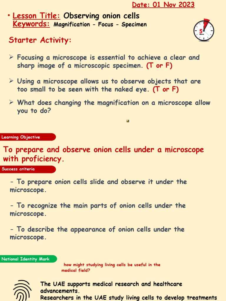Onion Cells Observation Presentation PDF Microscope Cell (Biology)