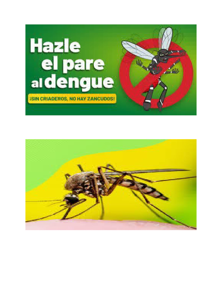 Moscas pdf