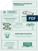 Senescência e Morte Celular
