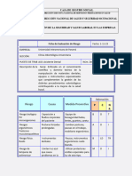 Ficha de Evaluación de Riesgos MARTA CASTILLO
