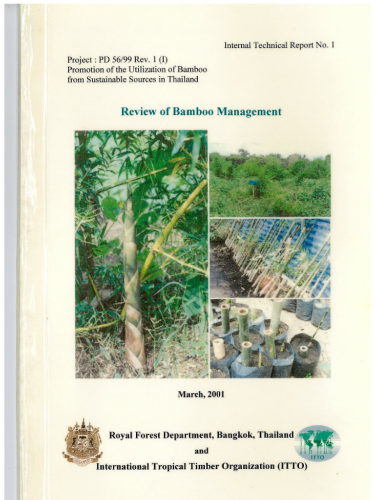 Sustainable Bamboo Management Thailand | PDF | Bamboo | Soil