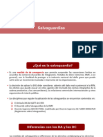 11 PPT Salvaguardias