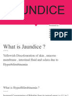 Jaundice