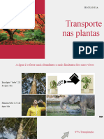 9- Transporte Nas Plantas 1 (1)