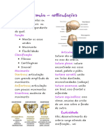 Anatomia