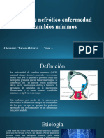 Enfermedad de Cambios Minimos