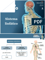 AP 8 - Sistema Linfático