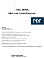Physiol and OT Pelvic and Perineal Regions 2022