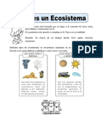 Ecosistema