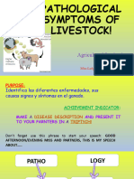 Pathological Symptoms in Livestock