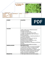 Ficha Tecnica Del Cilantro