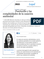 RFG - Caso Punta Puertecillo y Las Complejidades de La Casación Ambiental