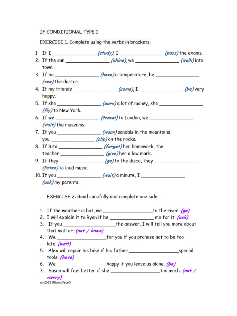 Type 1 Conditional Exercises | PDF