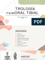 Lesiones Del Pie y Del Tobillo: Capítulo 5, PDF, Tobillo