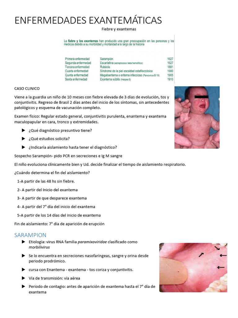 Enfermedades Exantemáticas Pdf Sarampión Staphylococcus Aureus