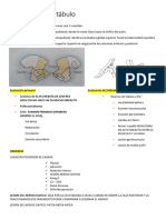 Fractura de Acetábulo