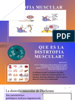 Distrodia Muscular