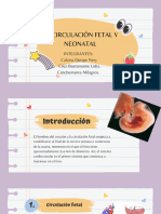 Circulación Fetal y Neonatal - Exposición