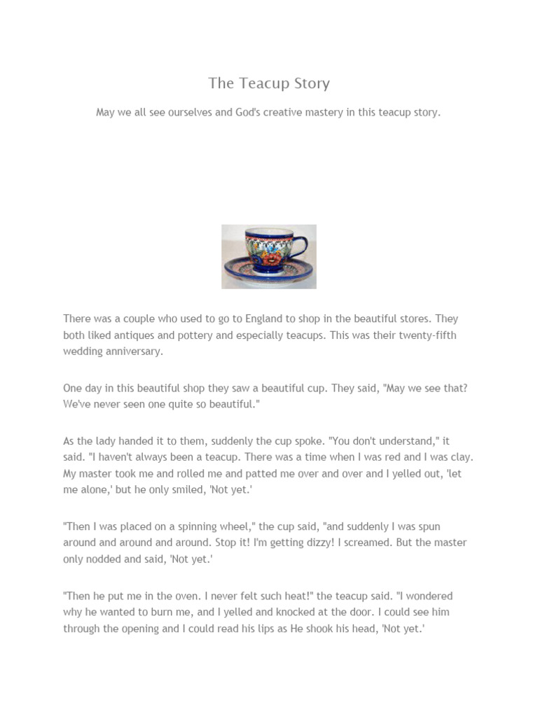 The Teacup Story PDF