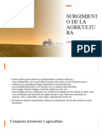 SURGIMIENTO DE LA AGRICULTURA Def