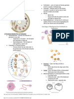 Embryogenesis 1