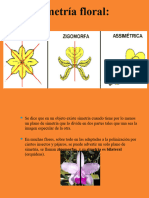 6.2. Simetría Floral - 202351