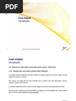 01.Flexi Hybrid Introducao