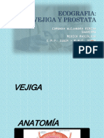 Us Vejiga Prostata