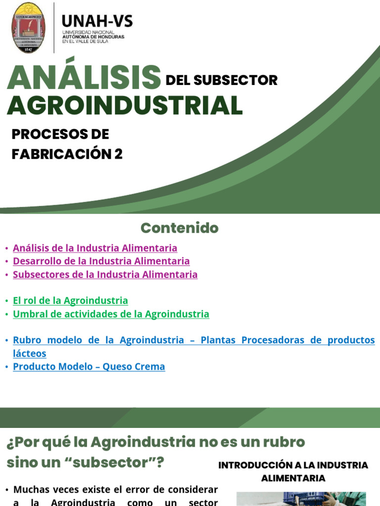 Análisis Del Subsector Agroindustrial | PDF | Queso | Leche