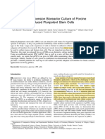 Stirred Suspension Bioreactor Culture of Porcine Induced Pluripotent Stem Cells