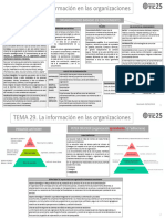 T029-Resumen-La Informacion en Las Organizaciones