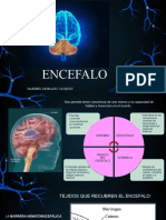 Encefalo y Medula Espinal