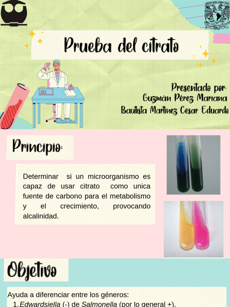 Prueba Bioquímica de Citrato | PDF | Metabolismo | Amonio