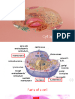 Cytoplasm Part 1