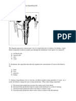 Practice Questions 1 Excretory