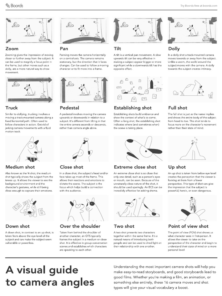Camera Angles | PDF