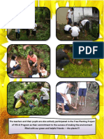 Narrative On Tree Planting Project