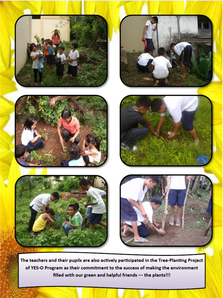 How To Write A Report On Tree Planting Project Pdf