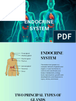 Endocrine-System 20231001 220830 0000