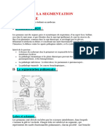 ANATOMIE