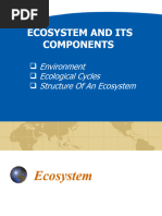 Grade 10 Biosphere and Ecosystems Notes | PDF | Ecosystem | Food Web