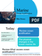 Year 11 OceanAcidification - Oganisms - PT 3