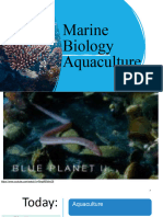 Year 11-Aquaculture