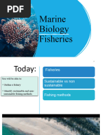 Year 11-Fisheries