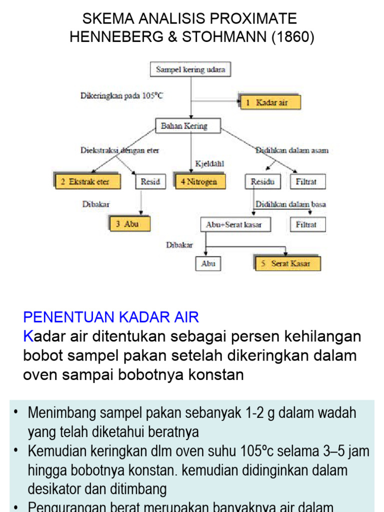 Skema Analisis Proksimat Pakan | PDF