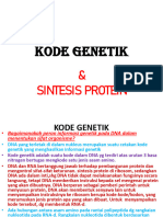 Sintesis Protein Compressed
