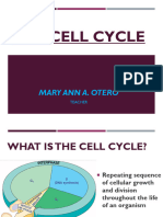 Cell Cycle