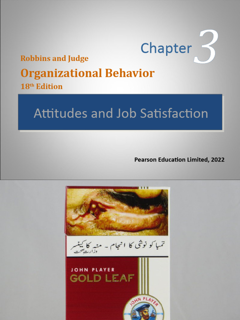 Chapter No. 3 | PDF | Job Satisfaction | Attitude (Psychology)