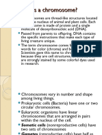 Chromosomesmitoticcycle 160401133710